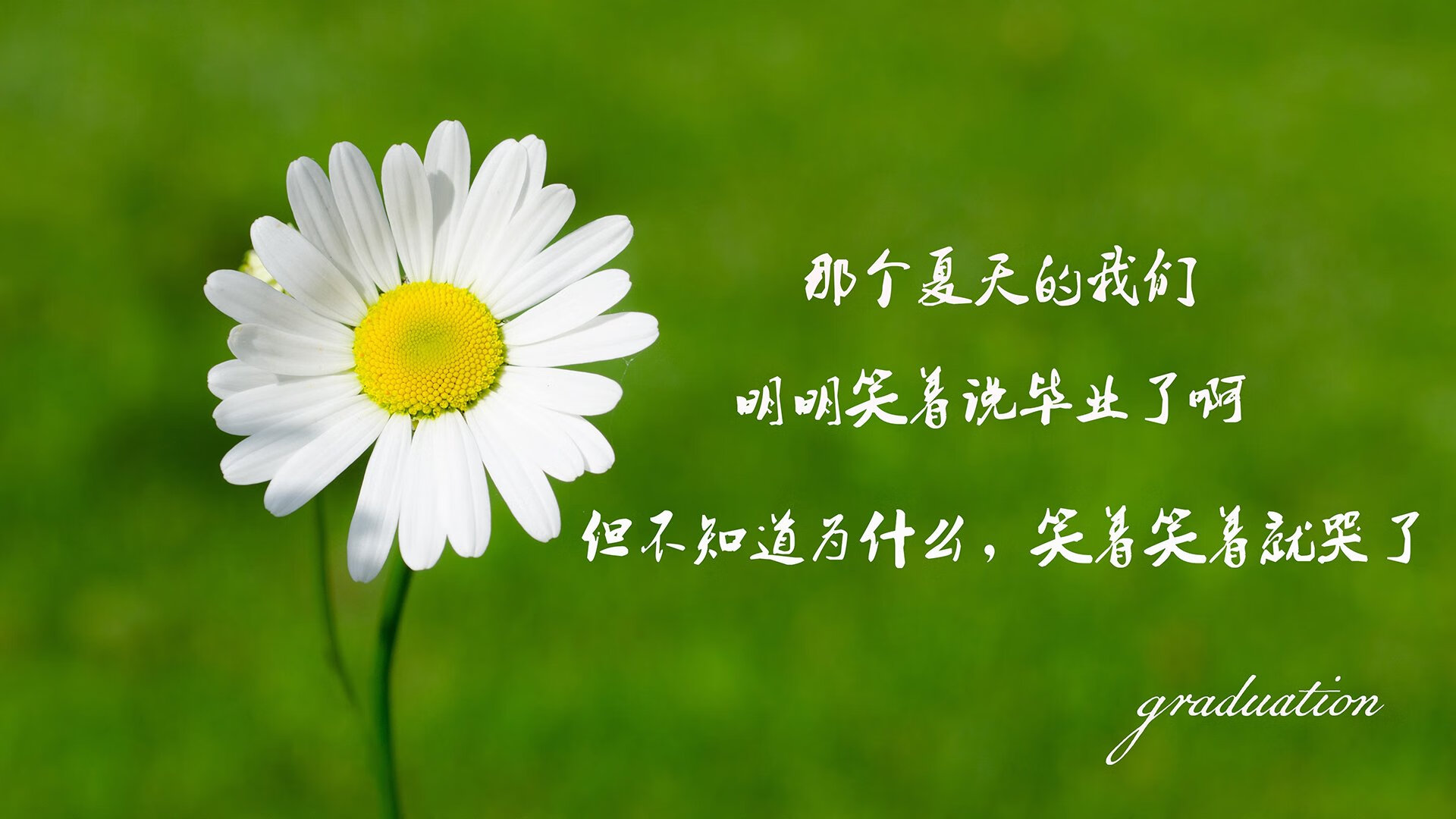 kaiyun官方网站-TL CEO谈北美电竞生态挑战，北美eg电竞