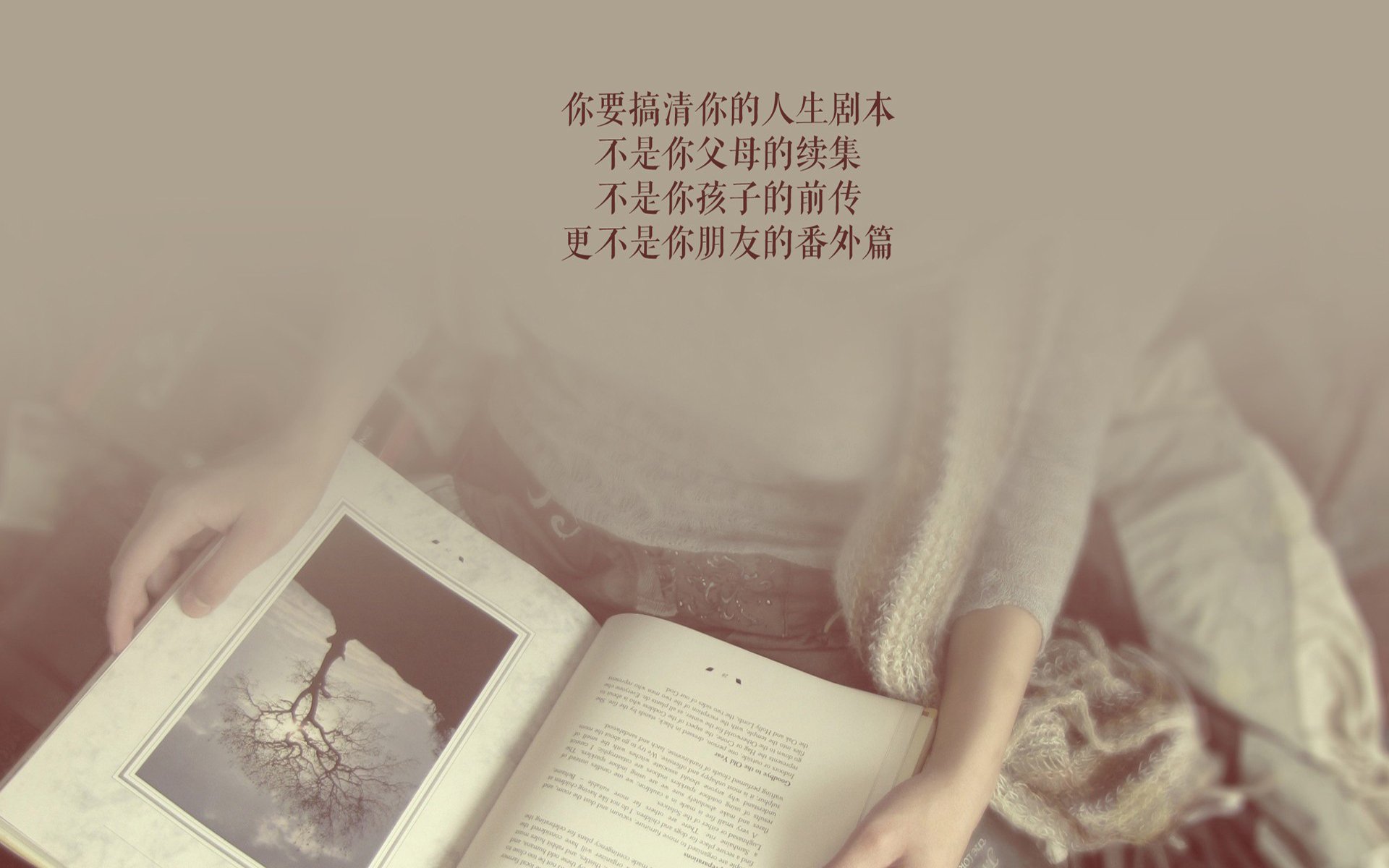浙江广厦球队协同作战能力增强，浙江广厦球队队员名单