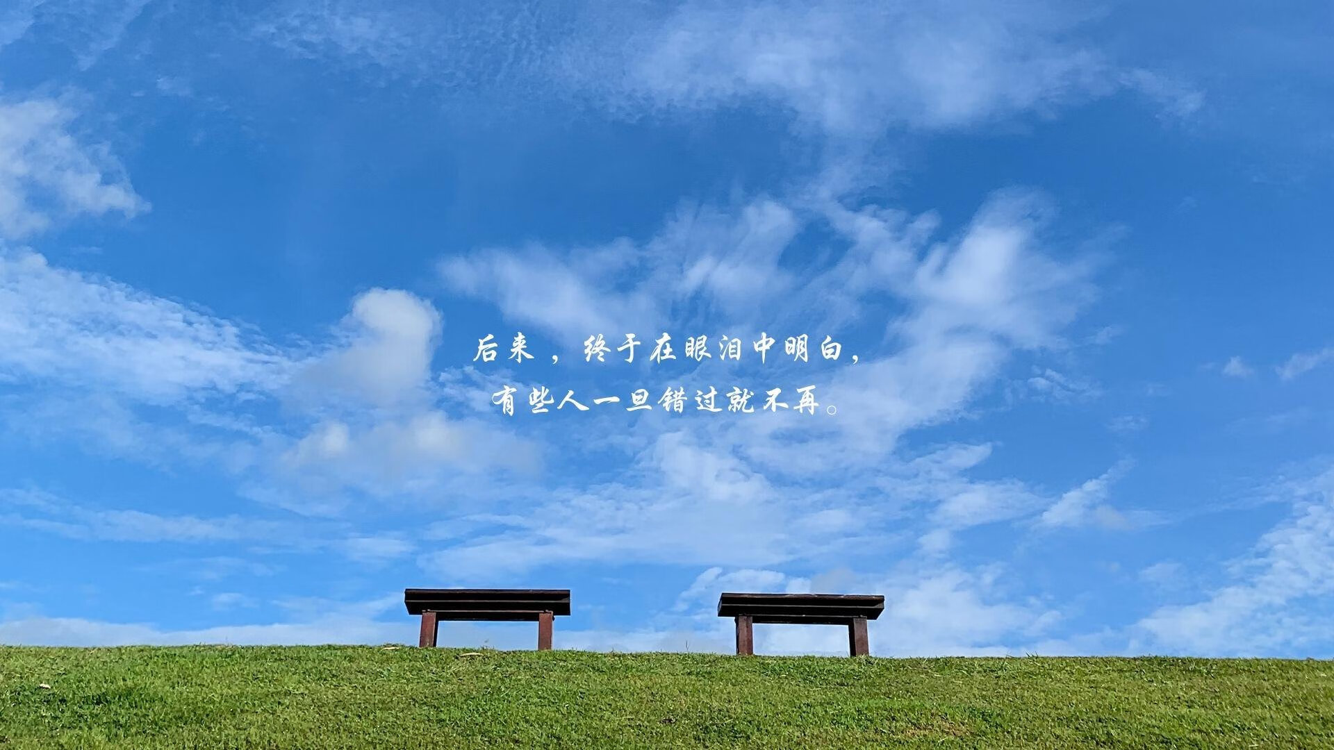 国足比赛冲刺次数与体能分布趋势，国足训练赛