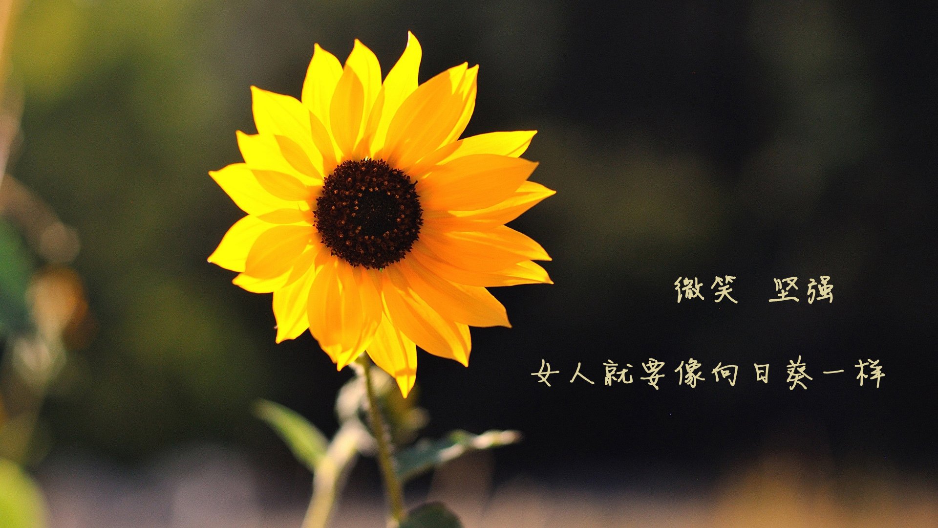 开云体育APP下载-中国男篮优化前场篮板保护策略，前场篮板球