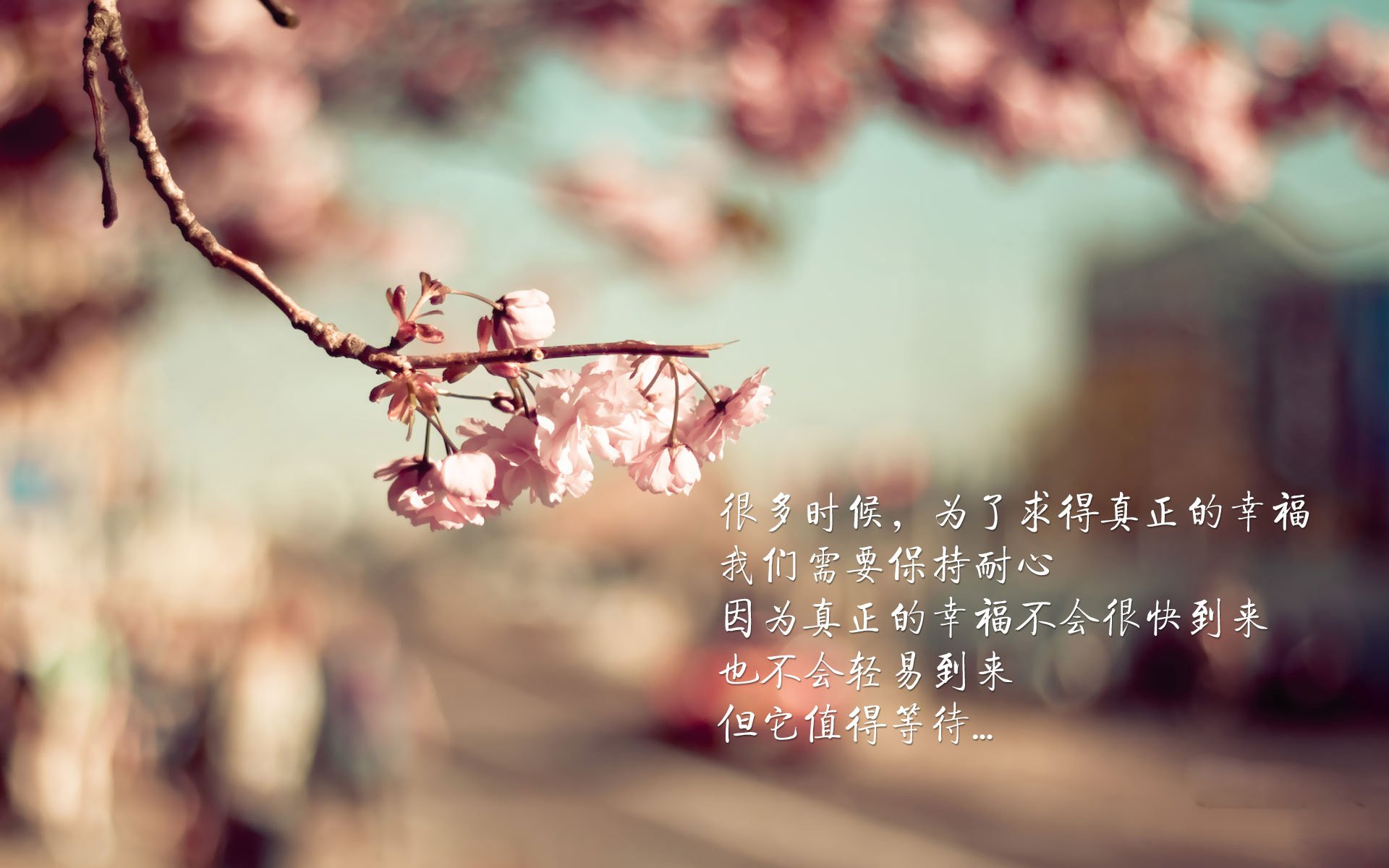 男子蝶泳划水幅度：德澳领先？，蝶泳的划水动作轨迹是三维的