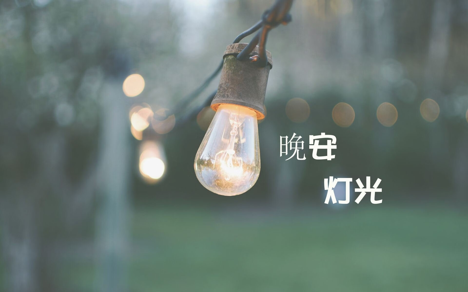 波兰仰泳选手实力持续增长,波兰仰泳选手实力持续增长多少
